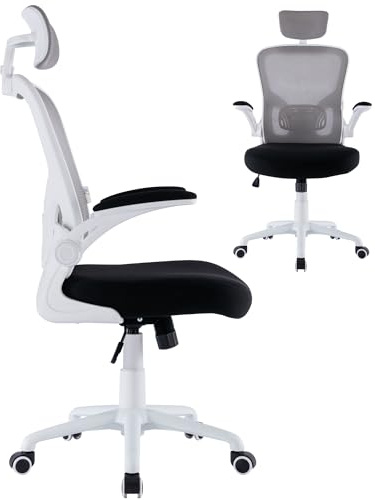 ZIK - Sedia Ergonomica da Ufficio, Scrivania, con Supporto Lombare e Regolazione Schienale, Sedia da Ufficio con Rotelle e Braccioli Reclinabili, Poggiatesta Oscillante e Regolabile (Gray)