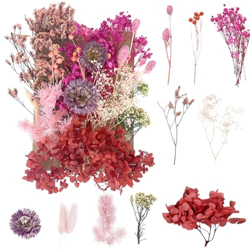 Torkade blommor, pressade blommor Torra blommor Torkade blommor Hantverk för gör-det-själv-konst Harts Scrapbooking Smyckenstillverkning Blomdekorationer（Röd+lila）