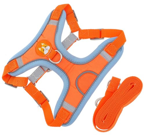 LOORGVEL Pettorina Cane Piccola con Guinzaglio Riflettente Imbracatura e Resistente per Cani e Cuccioli Accessori Outdoor per Passeggiate Addestramento e Jogging