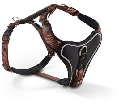 Wolters | Geschirr Professional Comfort in Tabac/Schwarz | Brustumfang 60 - 70 cm