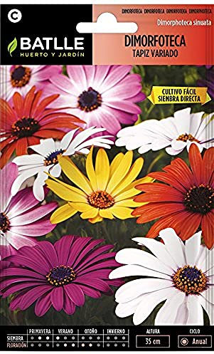 Semillas Batlle Dimorfoteca TAPIZ Variado