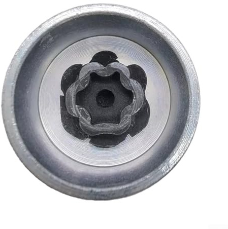 HpLive Dadi per ruota antifurto, blocco ruota, blocco cerchione, dado con chiave per BMW MINI(73)