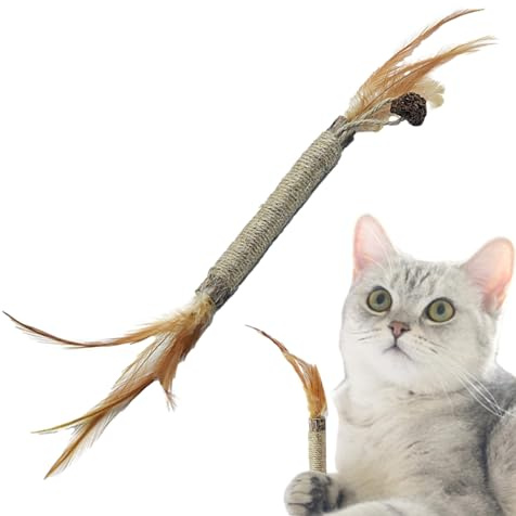 Silvervine-pinnar för, tuggleksaker för kattungar – naturliga växter kattmynta leksak för, kattlektid kattmynta pinnar för träning för vardagsrum, katthus