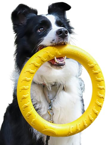 Jackanna Frisbee para perros, anillo de tracción interactivo para perros, juguete de agarre suave y ligero, puede nadar en el agua, juguete para morder y masticar para mascotas (anillo de tensión