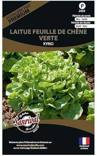 Graines potagères Premium laitue Feuille de chêne Verte Kyrio