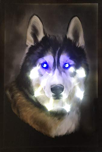 Samarkand - Lights LED-Bild mit Beleuchtung Hunde LED- Bilder Leinwandbild 65 x 45 cm Leuchtbild HUSKY/HUND Wandbild