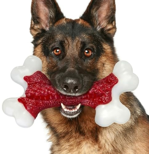 ChienBox Juguete Perro Indestructible para Masticadores Fuertes: Juguetes Perros Grandes de Nylon Resistente, Sabor a Carne de Res, Juguetes para Perros para Entrenamiento y Limpieza Dental