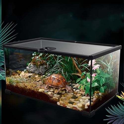 AWXZOM Mini Reptile Glass Terrarium Tank, cage for Tarantula Sling Geckos, Frog, Lizards, Chameleons,Turtles Snake Snail Insect Hermit Crab Isopods Reptiles Enclosure (12x8x6inch)