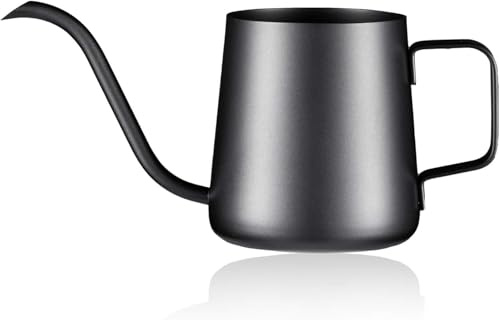 Lizhluzh 12 oz / 350 ml Watering Can Indoor Plants, Stainless Steel Plant Watering Can with Long Spout (Black) (12oz)