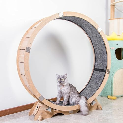 Rueda de ejercicio de madera para gatos, caminadora redonda natural para fitness de mascotas en interiores, construcción de roble
