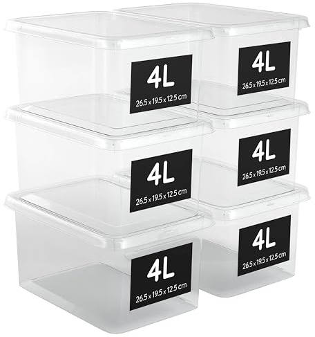 AHIOVA 6 Aufbewahrungsboxen mit Deckel 4L – 100% Transparent – Stapelbare Kunststoffboxen – Verschlussklammern – BPA-frei (4Liter)