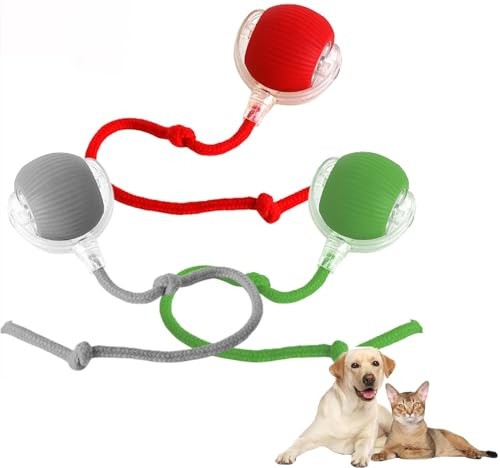 Hardware Tribe Automatisk rullboll, rullboll för katter och hundar, automatisk tuggboll, för katter och hundar, uppladdningsbar elektrisk boll för katt, interaktiv kattboll