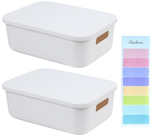 2 Pezzi Scatole Portaoggetti con Coperchio, Cestino Portaoggetti Plastica con Adesivi, Scatole di Conservazione con Coperchio Organizzatore con Maniglie Impilabili per Cucina, Bagno (28×20×9.6cm)