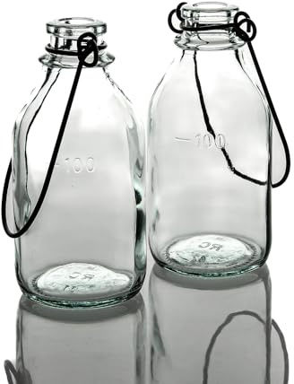 Richland Vintage Bottle Hanging Glass Vase Set of 12