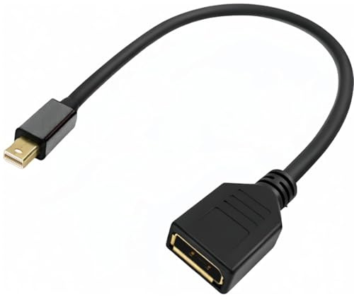 Lueden Mini DP to DP Adapter Mini DP to DP Cable 8K@60Hz 4K@144Hz 2K@240Hz Display DP Converter Cable Compatible with Thunderbolt and Thunderbolt 2 Port HD for Laptop Monitor, 30cm