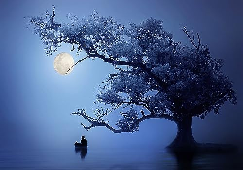 Papier Peint Panoramique Arbre Nuit Lune Bleue Paysages naturels 350x245cm