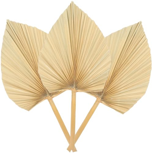 Luxshiny 3 Piezas de Hojas de Abanico de Palma Seca Decorativa, Tamaño Grande, Color Natural, para Decoración Rústica de Pared, Ventana y Eventos en Hogar y Fiestas