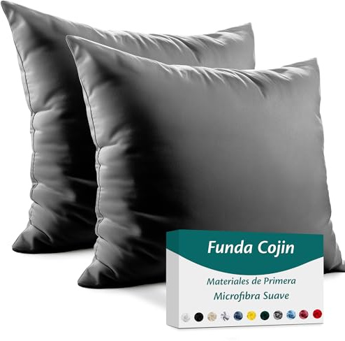 Flowen Fundas de Cojin 50x50 de Microfibra Juego de 2 Funda de Almohada del Sofá Decorativas con Cremallera Invisible Tejido Suave y Lavable Antiácaros Transpirable Hipoalergénico para Cama y Silla