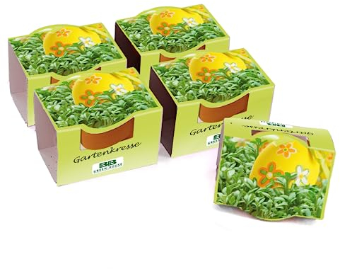 Bull & Bear 5er Set Mini Pflanzset mit Gartenkresse Samen im Topf 4,5cm, Kressesamen als Anzuchtset mit Pflegeanleitung