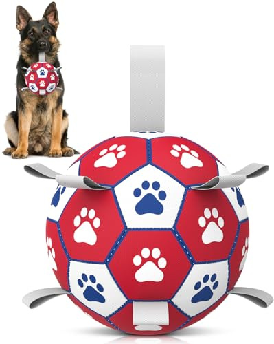 HETOO Dog Balls Dog Football Toys Dog Toy Ball (9 Inch Extra Large Red)