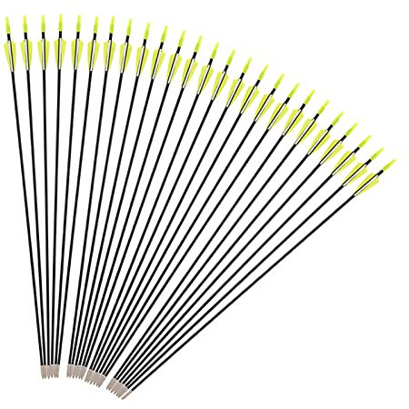 iMeshbean Fieberglaspfeile Pfeile für bogenschießen, 25 Stück Bogenpfeile Erwachsene 31 Zoll 6mm Fiberglaspfeil Jagdpfeile für Bogen, Recurvebogen, Sportbogen (Gelb)