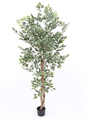 Konstgjord Ficus Benjamini konstträd Benjamina grönvit 840 blad, höjd 150 cm – konstgjord björkfikon