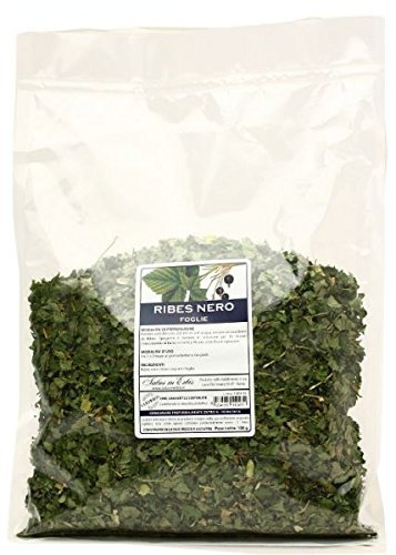 RIBES NERO Foglie 100 g