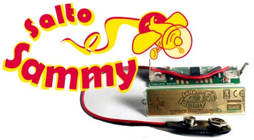 Elektronik Gabriel Salto Sammy - Tuning für Looping Louie