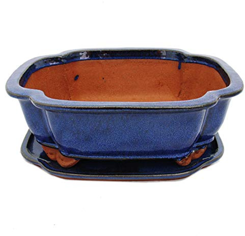 bonsaï Bol avec soucoupe gr. 5 – Haitang i4 – Bleu – L 31,5 cm – L 26 cm – H 11 cm