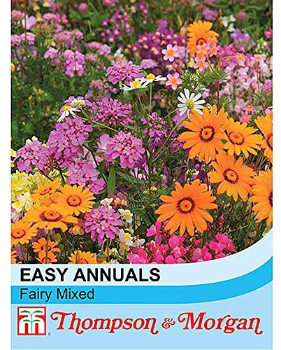 Easy Annuals 'Fairy Mixed' Seeds Hardy Annual Flowering Garden Plants Easy to Grow Your Own at Home 1 Packet of 1000 Seeds by Thompson and Morgan
