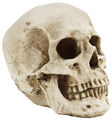 Kurtzy Totenkopf Deko Gothic Deko Menschlicher Schädel Modell L12 x W17 x H14,5 cm - Realistische Harz-Knochen Deko Schädel Anatomie - Totenkopf Deko Groß für Medizinische Lehre & Mexikanische Deko