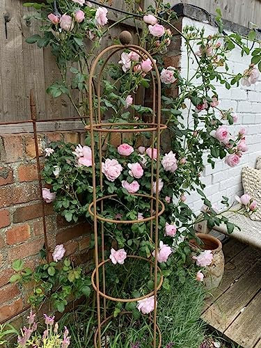 Generic Rustic Metal Round Garden Obelisk - 1.25m Tall x 24cm Wide - Brown, Cylindrical, Rustic Style - UK Made, Fully Assembled, Heavy Duty, Decorative Plant Support