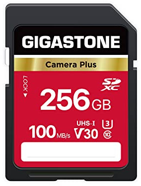 GIGASTONE 256GB SD Card, Camera Plus, V30 U3 SDXC Memory Card High Speed UHD Video Compatible with Canon Kodak Olympus Digital Camera, with 1 Mini case