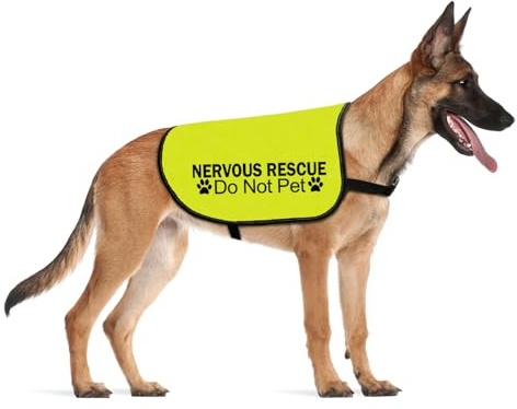 Nervous Ask To Pet Dog Jacket Vest, Rescue Do Not Approach Space Dog Walking Slogan Warning Vest for Medium Dogs (M EU)