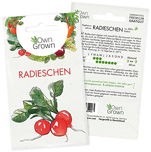 Radieschen Samen: Premium Radieschen Saatgut zur Anzucht von ca. 200 Radieschen Pflanzen – Beste Gemüse Samen für Balkon und Garten kaufen – OwnGrown Samen bestellen für die Radieschen Pflanze…