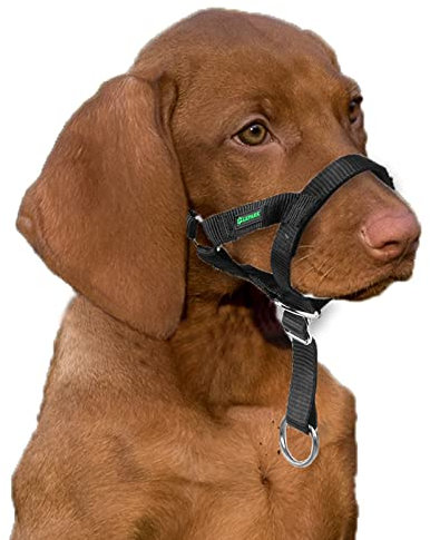 Hundehalfter für Training, buntes Kopfgeschirr für Hunde, um zu stoppen, zu ziehen, verstellbar und leicht zu kontrollieren (S, rot)