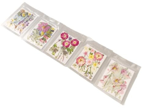 Blandade Pressade Torkade Blommor och Äkta Blad, Naturliga Blommor för Hantverk, Smycken, Ljus, Tvål och Harts (Typ 2)