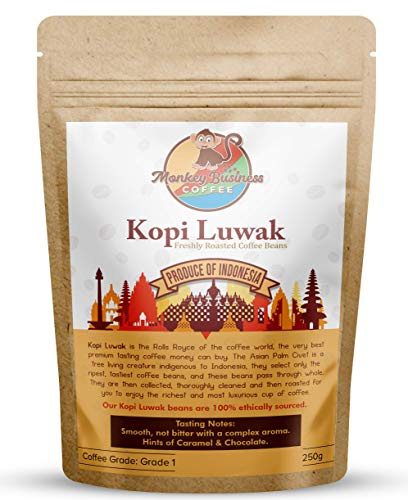 Monkey Business Coffee - Wild Kopi Luwak Coffee Whole Beans - Ethically Sourced - 250 Grams (Other Weights & Bean Types Available) - Produce of Indonesia