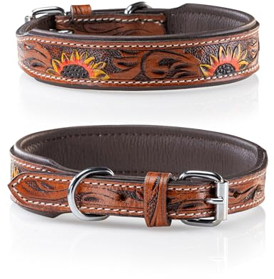 Jack & Russell Unikat Hundehalsband aus Leder, Hand-geschnitzt und gepolstert – Halsband aus Büffelleder, Hunde Lederhalsband Soleil (L (40,0-49,5cm)