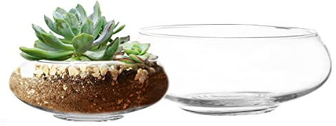Royal Imports Jarrón de Cristal para Flores, terrario para suculentas, exhibición hidropónica para Plantas de Aire, Velas flotantes, Centro de Mesa Decorativo, contenedor Floral para el hogar o Boda,