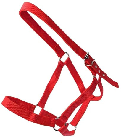 Generisch Knitted Halter for Adjustable Equestrian and Leading Harness