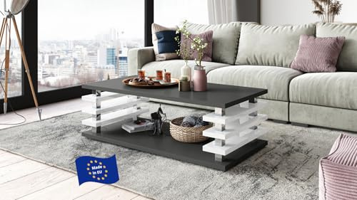 Carl Svensson Couchtisch DC-3 Anthrazit matt / Weiß Hochglanz 120x60cm mit Ablage modern stabil vielseitig Wohnzimmertisch Beistelltisch Sofatisch Zeitloses platzsparend robust Wohnzimmer ohne Rollen