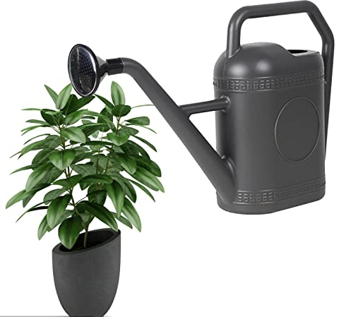 Gießkanne, 5L, Gießkanne Für Zimmerpflanzen, Langer Auslauf, Kleine Gießkanne Für Außenpflanzen, Sukkulenten, Kräutergarten, Blumen