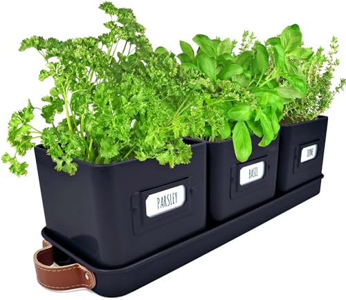 Green Thumbz Macetas Decorativas Interior con Macetero Rectangular con Mangos de Cuero - Macetas y Jardinera Rectangular Ideales para Plantas de Interior - Color Negro