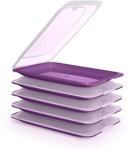 PracticFood - Lote de 5 Porta Embutidos y Alimentos Sistema Fresh, Conservación Optima de Lonchas en Nevera, Medidas 17 x 3.2 x 25.2 cm. Berenjena