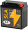 LANDPORT Batterie LTX9A-3 12V 9Ah, 135x75x138mm kompatibel für Derbi Boulevard, Hercules Ultra 80, Honda VFR, Kawasaki EL 250, Yamaha Majesty, X-Max