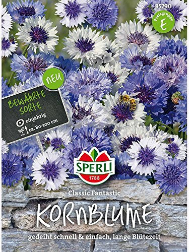 Kornblume Classic Fantasie