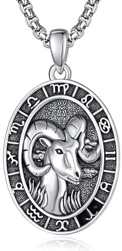 ADMETUS 12 stjärntecken halsband silver 925 stjärntecken hänge smycken oval stjärntecken konstellation kedja gåvor för män med 2,5 mm 50 cm + 2 tum rolokedjor, Sterlingsilver, Ingen ädelsten