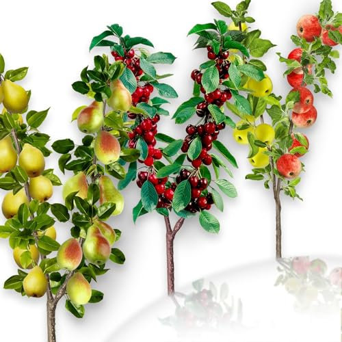 Juego de 3 árboles frutales Duo de cereza/manzana/pera - Apto para balcones, terrazas y pequeños jardines - Apto para macetas y tierras