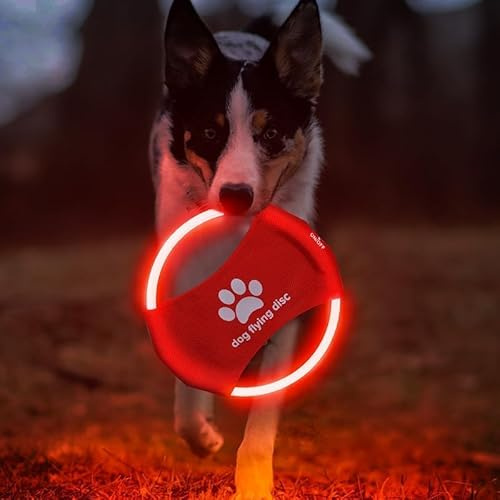 Frisbee LED rechargeable pour chien – Disque volant lumineux pour jeu de nuit – Jouet LED durable et étanche pour dressage en plein air – Parfait pour le jardin, le parc et la plage (rouge)